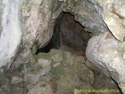 Cova d'en Castellà